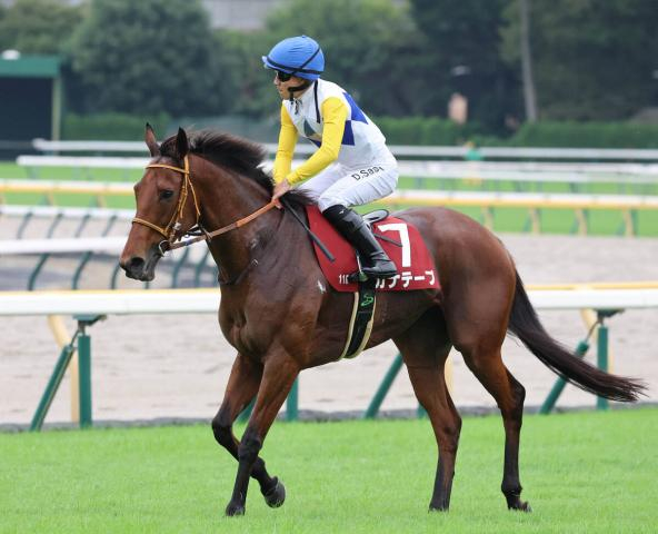 【アイルランドT】「ジワジワ上げれば…」カナテープ3着　佐々木大輔騎手は追い出しタイミング悔やむ