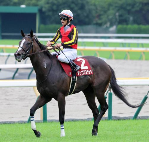 【アイルランドT】重賞初挑戦アンゴラブラックはロスない競馬も2着　戸崎圭太騎手「外に1頭いました」