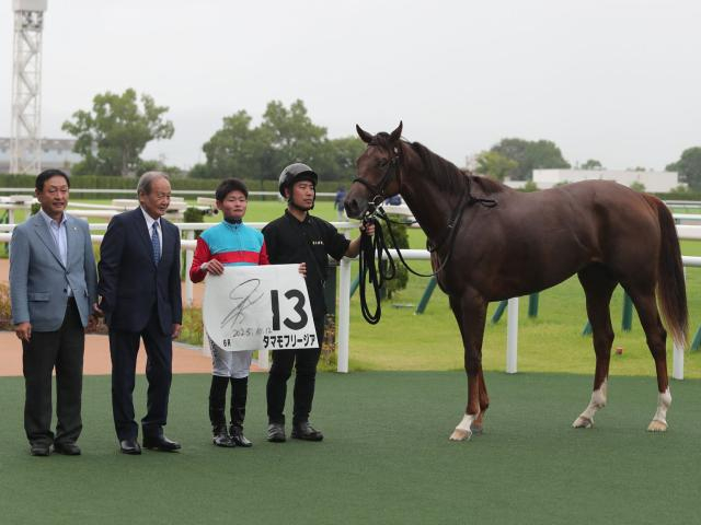 【メイクデビュー京都6Rレース後コメント】タマモフリージア田口貫太騎手ら