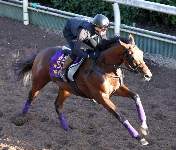 【スワンS】単勝10倍以下が5頭の混戦模様　前日1番人気はアドマイヤズームで4・4倍　3連単すべて万馬券