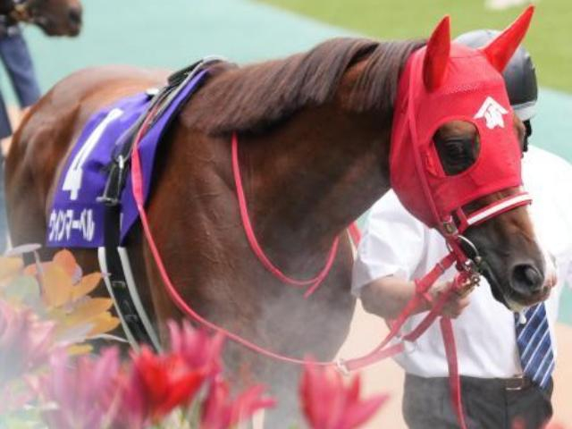 京都芝はまだ内＆前有利 スワンSはウインマーベルが軸に最適