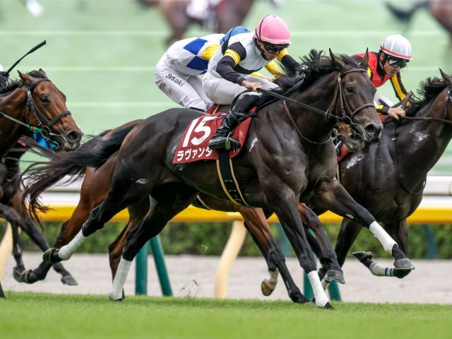 【アイルランドTレース後コメント】ラヴァンダ岩田望来騎手ら