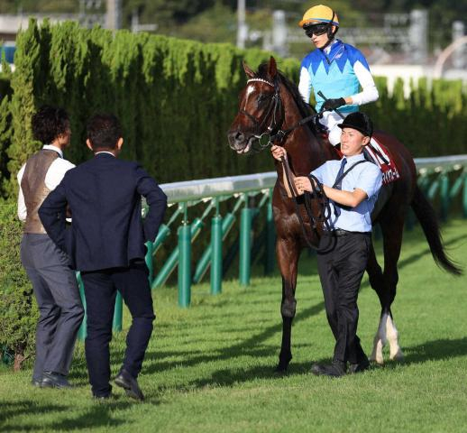 スワンS　唯一のG1馬アドマイヤズームは6着　坂井「伸び切れなかったのは休み明けの分」