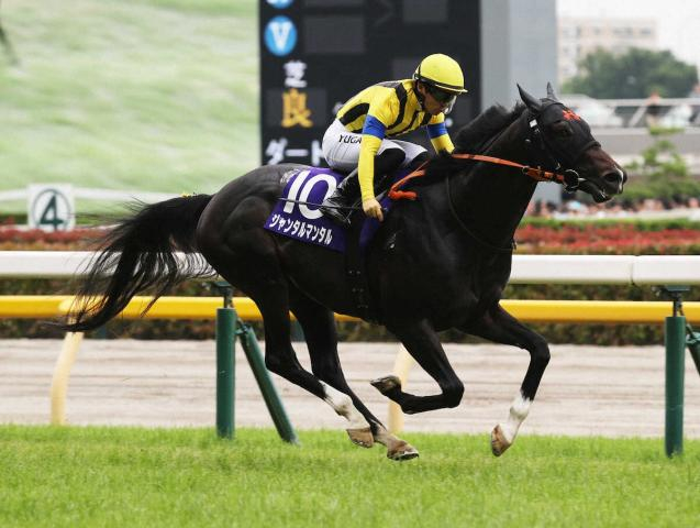 【富士S　展望】マイルG1を3勝　ジャンタルマンタルの秋始動戦