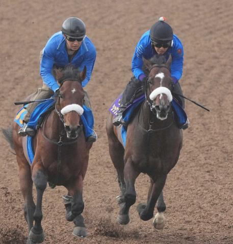 【盛岡競馬　南部杯】シックスペンス　初のダート挑戦で2着　国枝栄師「大谷翔平するしかないな」
