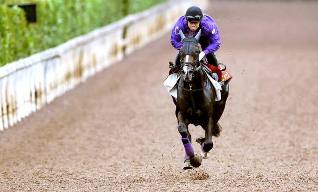 【秋華賞】オークス馬カムニャックがさらにパワーアップ!まるで牡馬の肉体で重い馬場もスイスイ加速12秒3