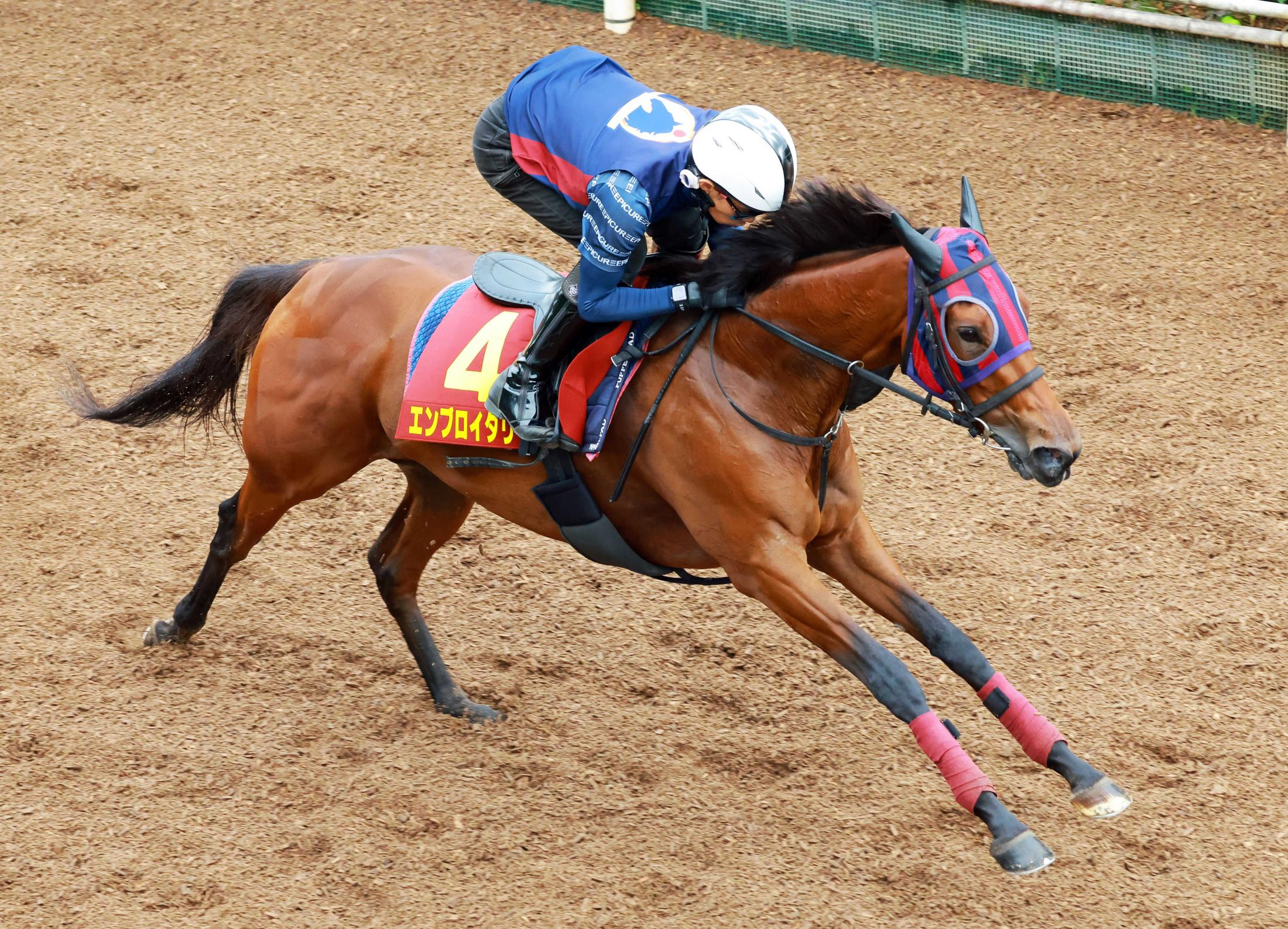 【秋華賞】エンブロイダリー　ソフト調整で牝馬２冠奪取だ　森一師「動きも時計も予定通り」　折り合いつけて直線勝負へ