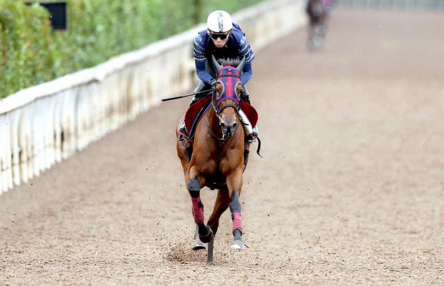 【秋華賞】桜花賞馬エンブロイダリーが豪快な動き　森一誠調教師「付くべきところに筋肉が付いた」