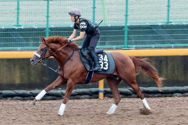 【POG】重賞5勝馬ナムラクレアの全弟ナムラロダンは力強い走り　長谷川調教師「まだまだ粗削りですけど、素質はあります」  　