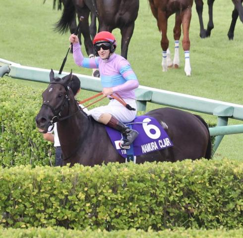 G1で過去9戦惜敗…「心が折れてもおかしくない」強メンタルの牝馬に大輪の花を咲かせてほしい