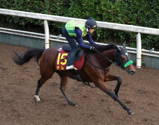 【秋華賞】テレサ　抑えめ折り合い重視4F55秒3　杉山晴師「何事もなく順調」