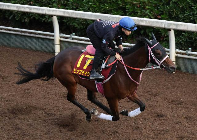 【秋華賞】ビップデイジー　サラッと時計控えめ　松下師「距離ロスなく運べれば」