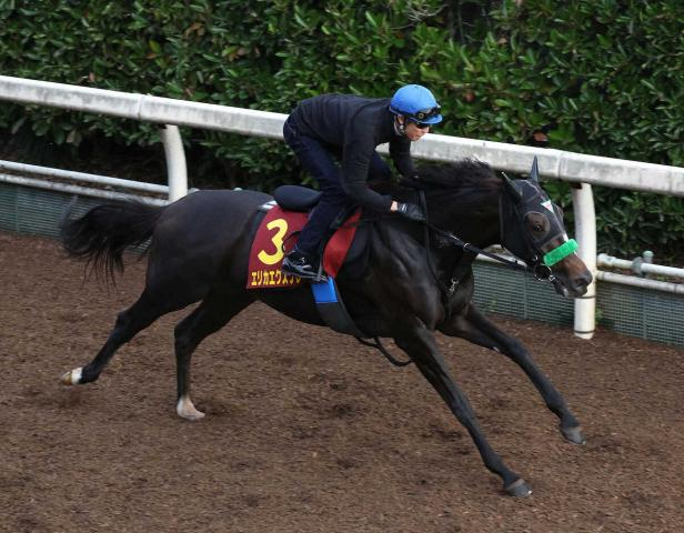 【秋華賞】エリカエクスプレス　坂路リズム良く加速12秒0　武豊絶賛「乗りやすい」