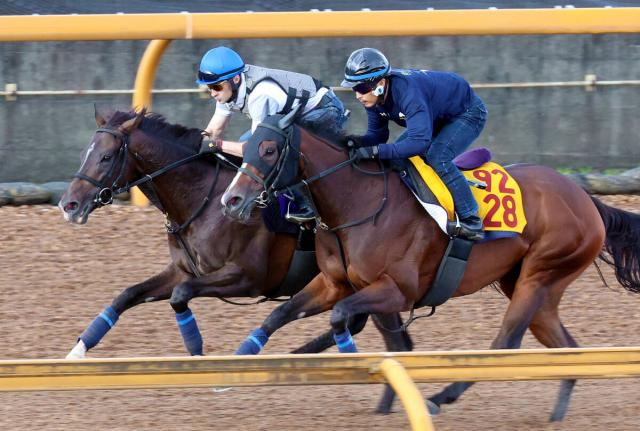 【菊花賞】エネルジコはシャープな脚さばき!ルメール騎手太鼓判「SUVっぽい。4輪駆動」