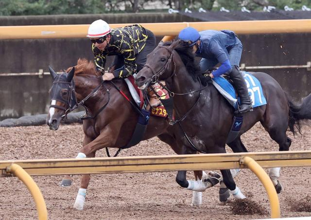 【秋華賞】セナスタイルは平坦の京都で切れ味増す!過去10回の勝ち馬は4角5番手以下で回った馬が9勝