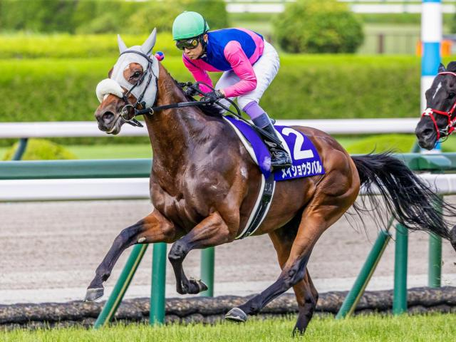 【天皇賞(秋)想定馬・騎手】メイショウタバル、タスティエーラなど16頭