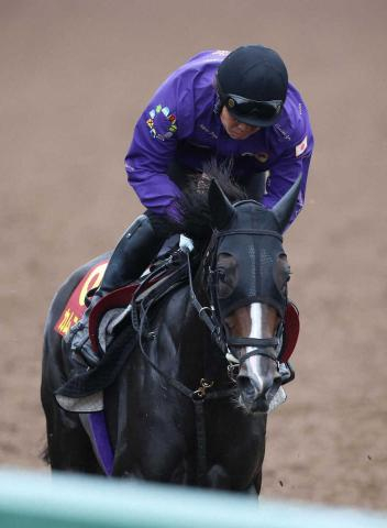 【秋華賞】(17)カムニャック　外枠に友道師「やるしかない」