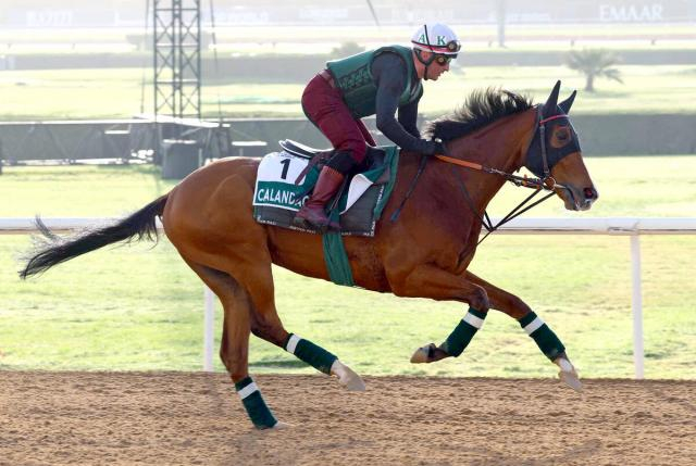 【英チャンピオンS】ジャパンCに登録のカランダガンがG1・3連勝　世界ランキング1位のオンブズマンは2着