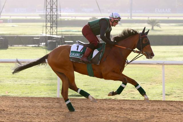 【注目馬動向】カランダガンがジャパンC参戦へ ダノンデサイルと再戦にSNS沸く 1着なら5億円+報奨金300万ドル