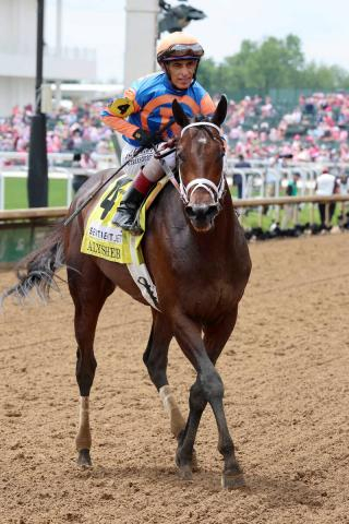 【注目馬動向】フィアースネスもブリーダーズCクラシックがラストランで種牡馬入り フォーエバーヤングと「最終決戦」