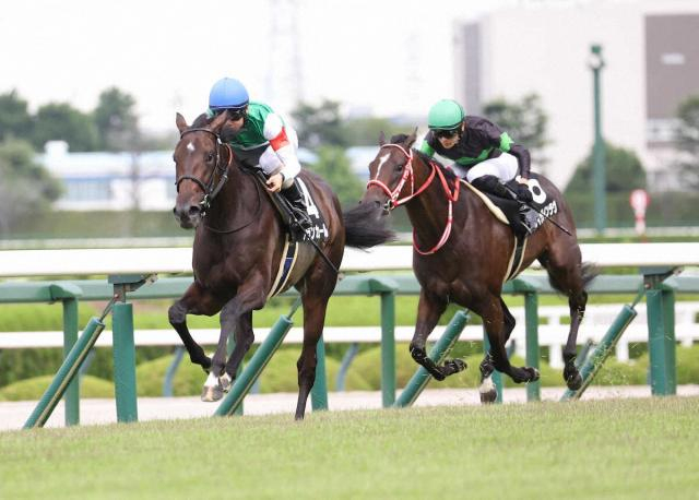 新馬、野路菊Sと連勝中のアランカールは阪神JF参戦 母は16年オークス馬シンハライト