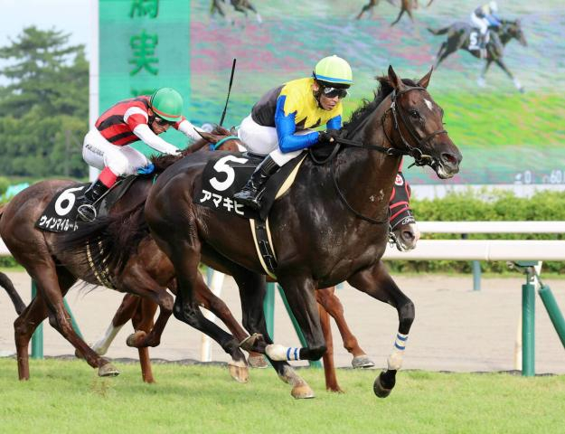 【菊花賞】前走2200メートル条件戦で勝利&長距離で安定感ある戸崎騎手で浮上したアマキヒ