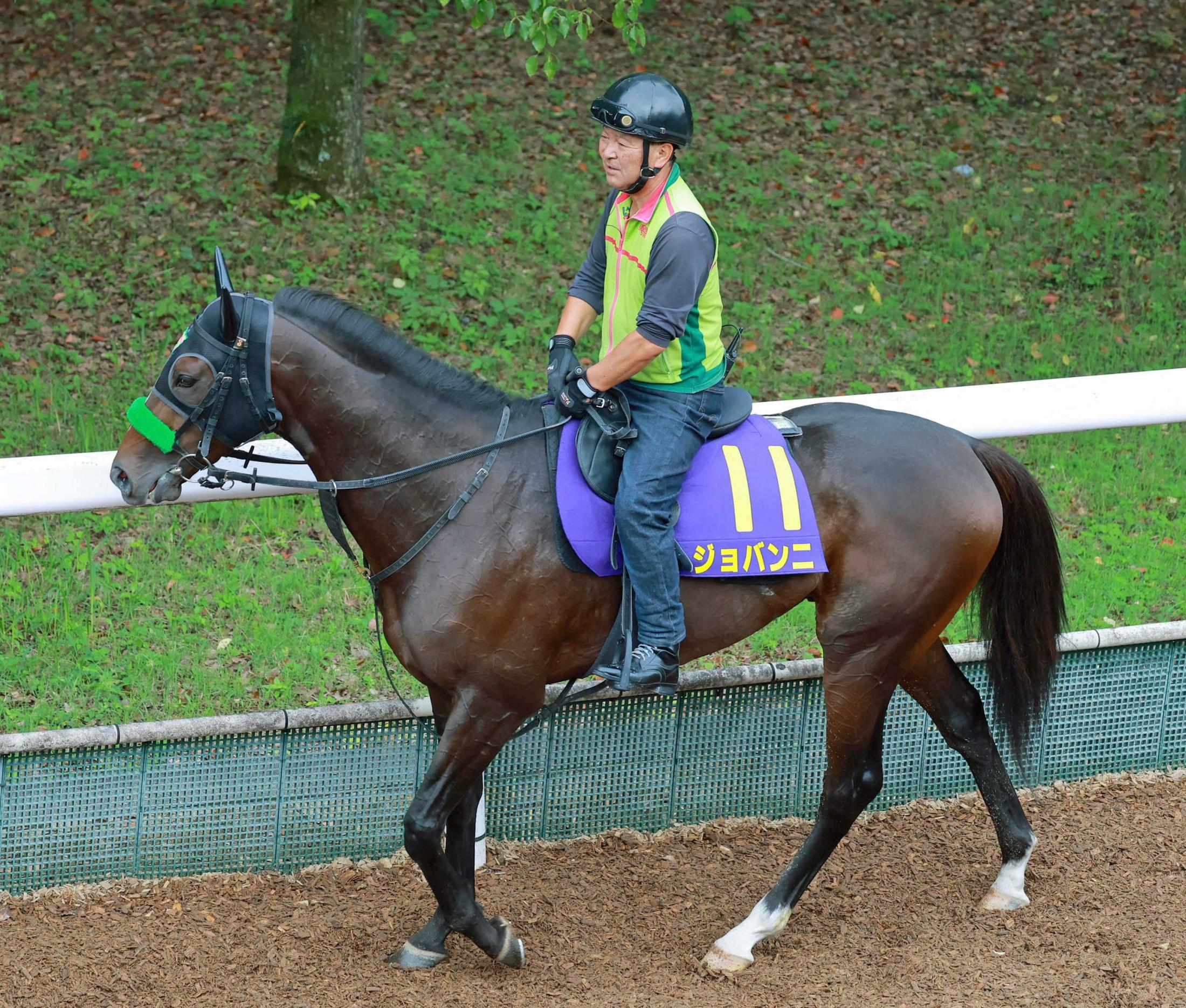 【菊花賞】ジョバンニ 菊花賞で咲かせる大輪!皐月賞4着、ダービー8着のクラシック皆勤“優等生” 三度目の正直だ