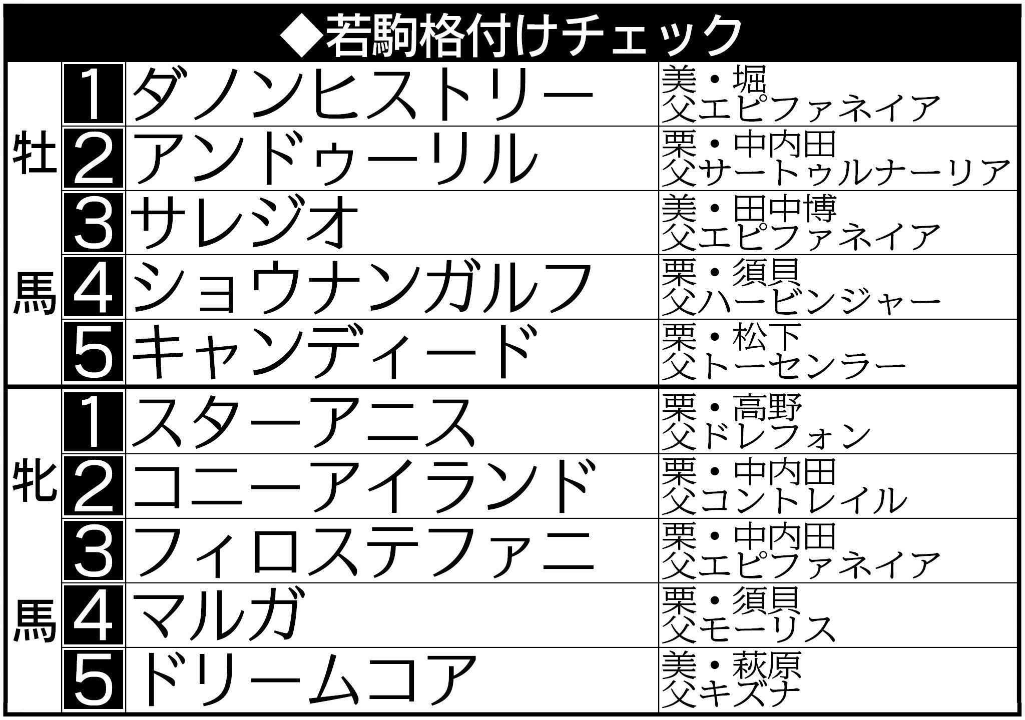 【2歳馬格付けチェック】アイビーSを制したアンドゥーリルが牡馬2位にランクイン