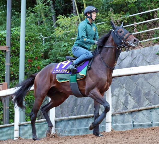 【菊花賞】2600メートルで連勝中!心肺機能&操縦性の高さで注目した上がり馬レクスノヴァス