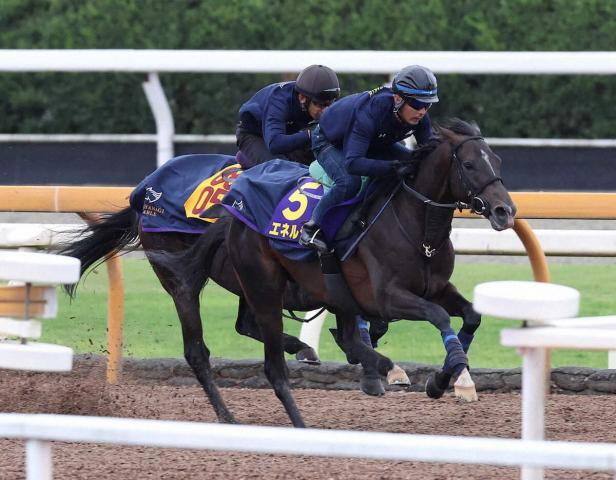 【菊花賞】エネルジコ 史上初“3連覇”追い!“令和の菊男”ルメールとVへ万全