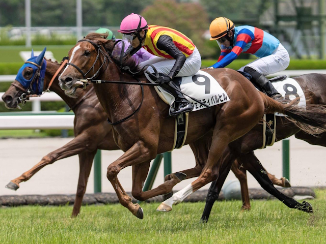 【ファンタジーS想定馬・騎手】フェスティバルヒル、ブラックチャリスなど16頭