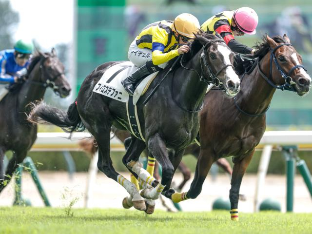 【アルテミスS予想】ポテンシャルの高さを示している馬にチャンスあり!? 前走の経験が生きずに凡走する危険性のある人気馬とは