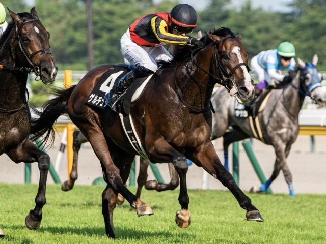 菊花賞は道悪濃厚 時計がかかって浮上する2頭とは?
