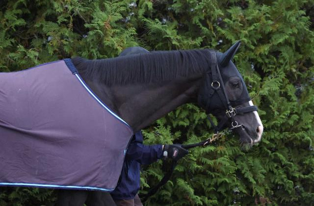 【菊花賞】(1)コーチェラバレー 絶好の1番枠 発馬さえ決まれば