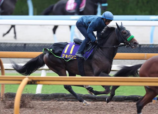 【菊花賞】ラスト1冠での巻き返し狙うジョバンニは坂路で軽快 陣営「当初の計算通り、確実に状態は上がっている」
