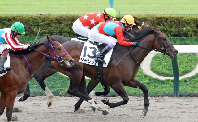 【東京4R・2歳新馬】武豊騎手騎乗のジャレッドが押し切りV「いい素質がある」