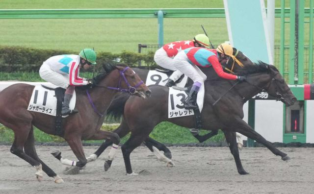 【東京4R】外国産馬ジャレッドが直線抜け出して初陣V 武豊「いい素質がある」