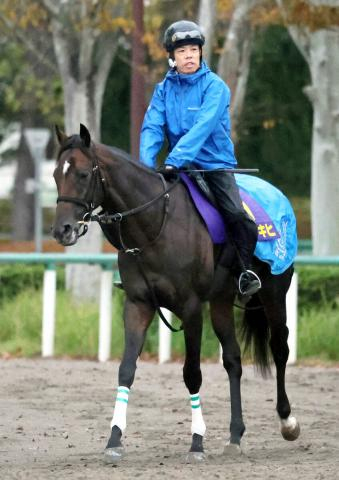 【菊花賞】アマキヒはアパパネ号で京都競馬場に到着 厩舎ゆかりの良血馬が一発狙う