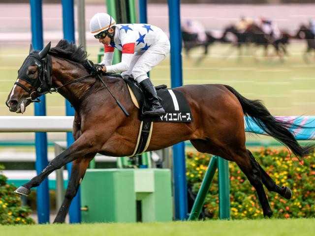 【AI予想・菊花賞】前走圧巻の内容で距離に不安なし! 人工知能は三強ムードに割って入る1頭を本命に指名