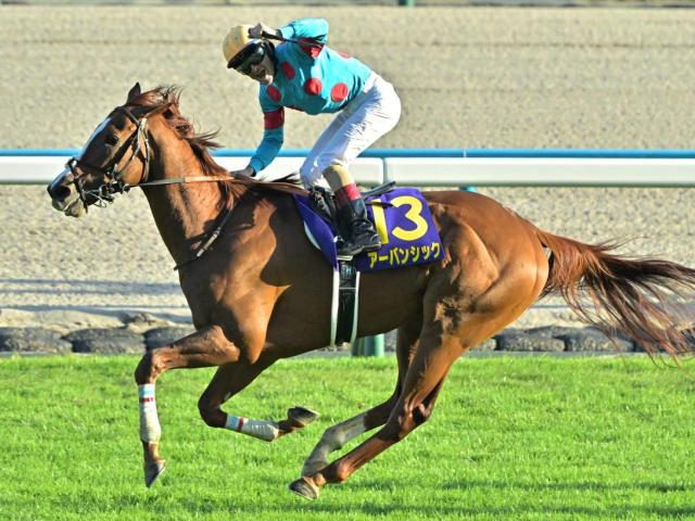 【菊花賞】過去10年の傾向を分析 中穴狙いがベストか