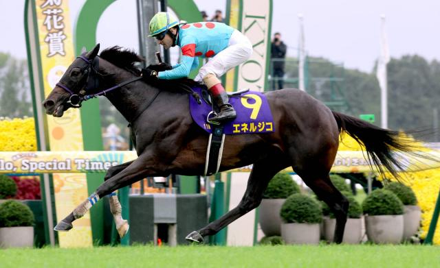 【菊花賞】エネルジコが1番人気に応えラスト1冠奪取! ルメール騎手はレース史上初の3連覇&歴代最多タイ5勝目