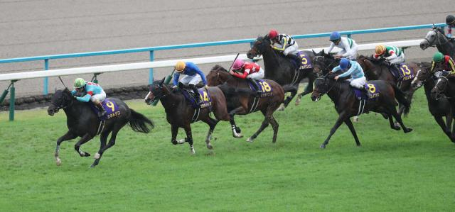 【菊花賞】13番人気のエキサイトバイオが健闘3着!荻野極「上手に自分で動く強い競馬をしたと思う」