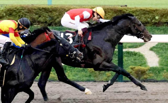 【神無月S】インユアパレスが59キロを克服し勝利　横山武史騎手「頭が上がらない」