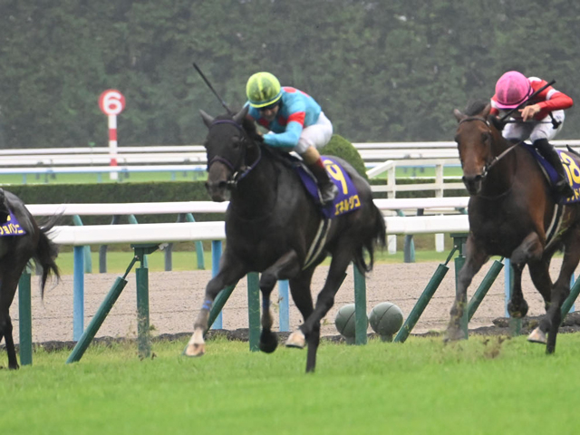 【JRA・WIN5】1番人気4勝で的中7349票、配当9万4970円