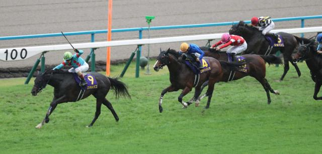 【菊花賞】エネルジコが圧倒V!3連単は1番人気→2番人気→13番人気の9―15―14で14万270円