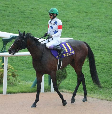 【菊花賞】マイユニバース13着に沈む…武豊「スタートが遅くて切り替えた」「4角を回って手応えが…」