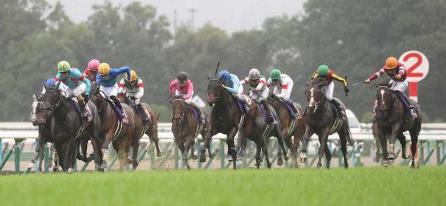 【菊花賞】ライトトラック12着　和田竜「勝負どころでスムーズではなかった。馬場状態も微妙でしたね」