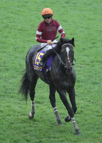 【菊花賞】エリキング届かず2着　川田「よく頑張りましたけど前に1頭強い馬がいましたね」