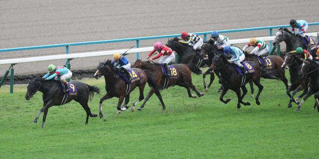 【菊花賞】ジョバンニは8着　松山「ゲートの中でうるさかったですね。うまくポジションを取れなかった」