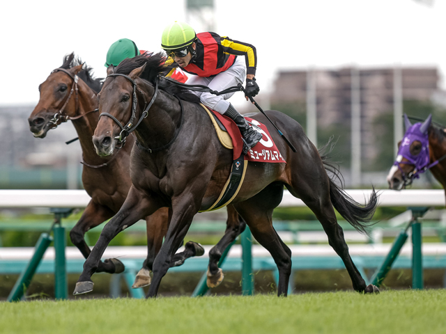【天皇賞(秋)見どころ】休み明けを完勝したミュージアムマイルに期待